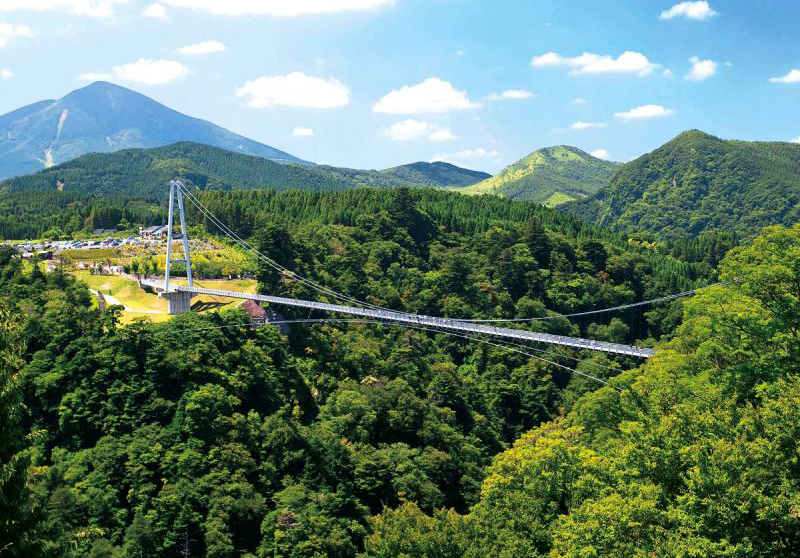 九重“夢”大吊橋