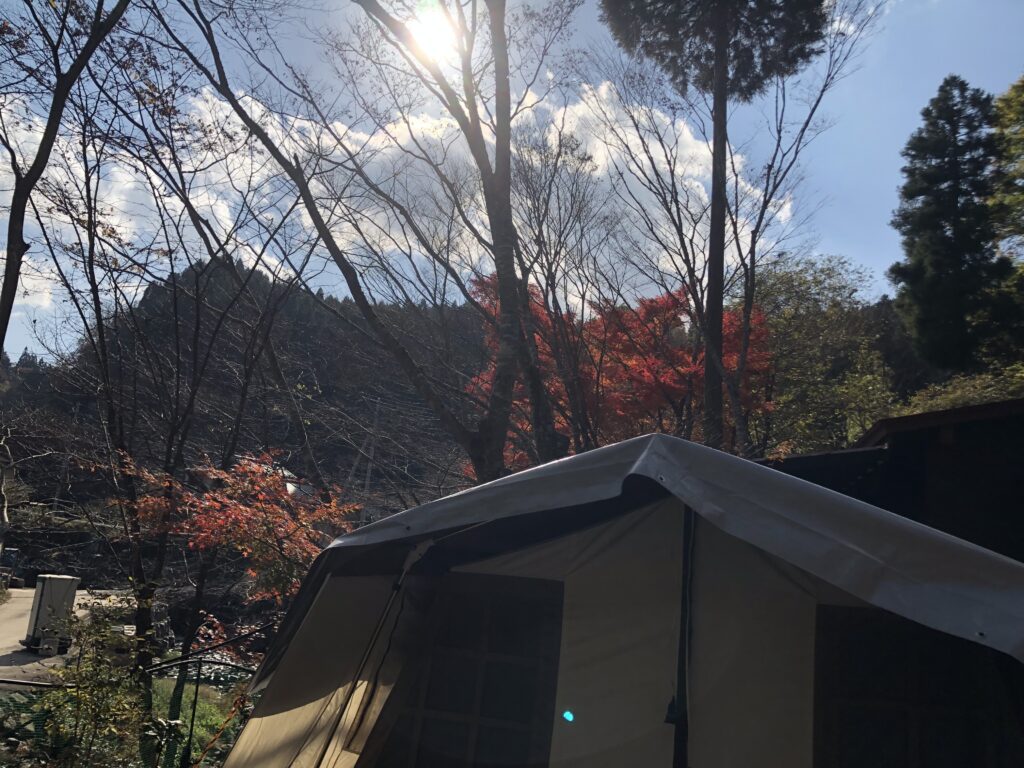 11\21(金)キャンプ村 　　　現在の様子